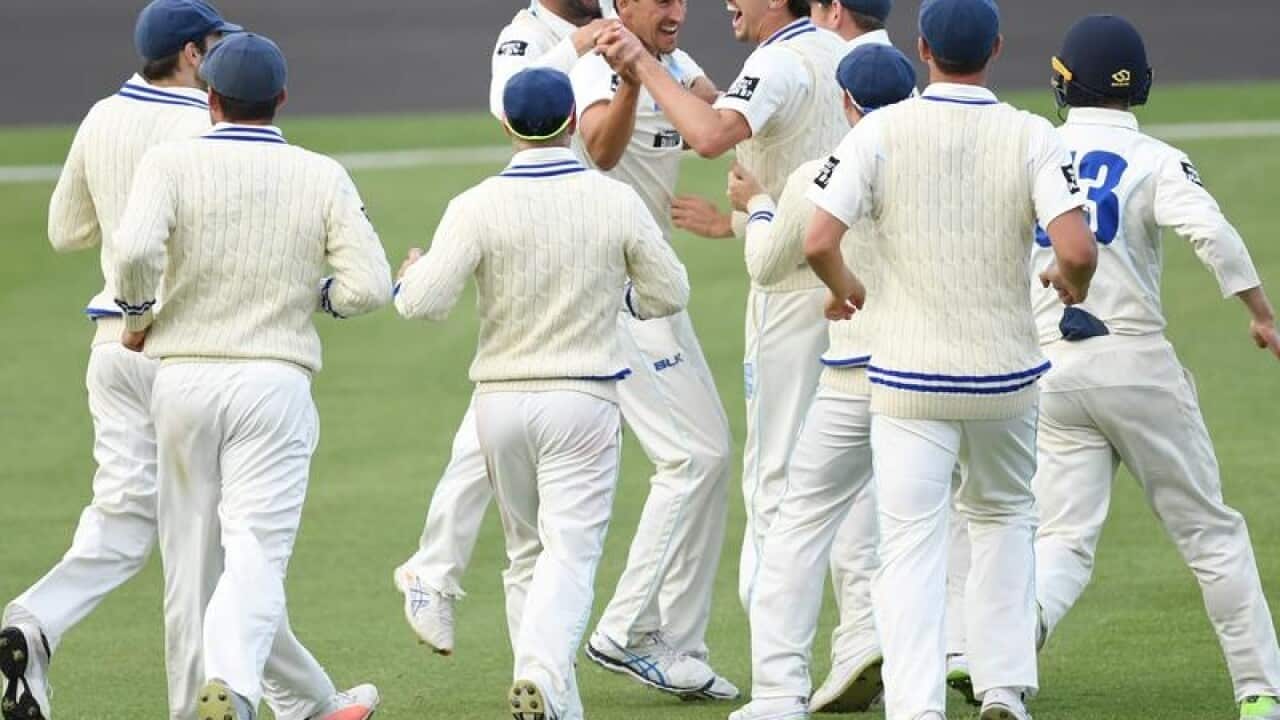 Mitchell Starc (C) celebrates after taking his second hat-trick