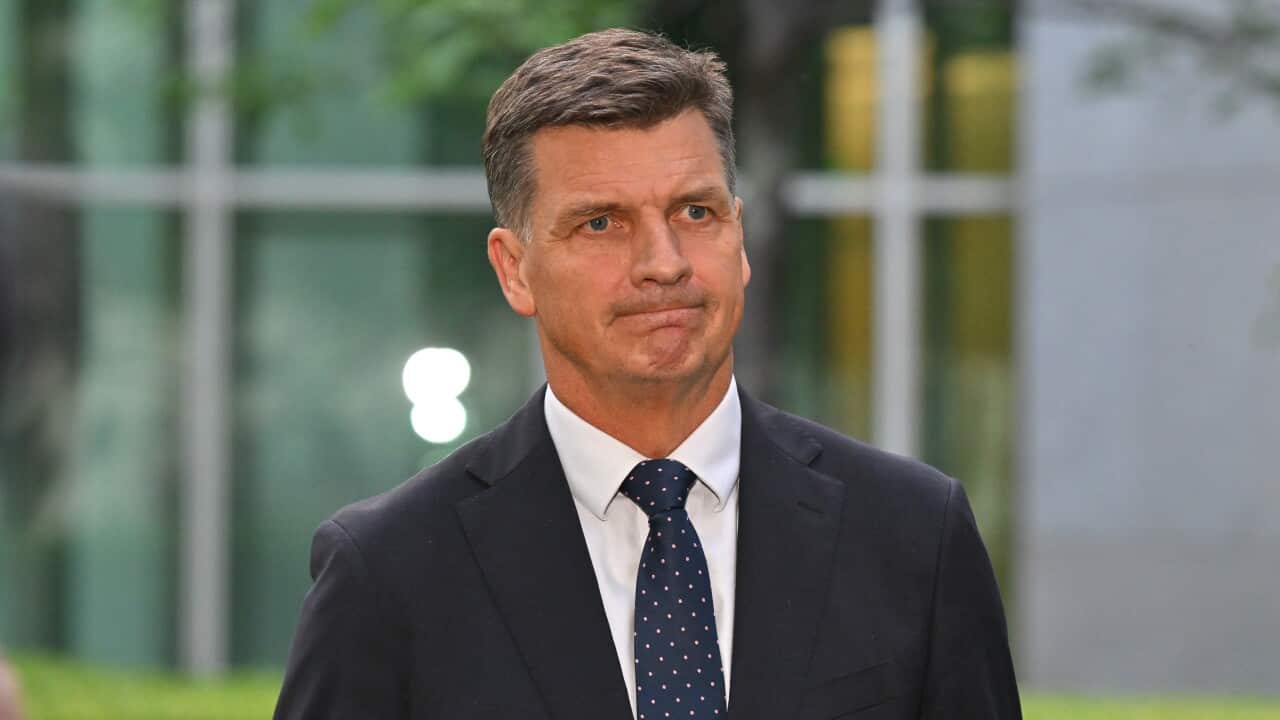 ANGUS TAYLOR RESIGNATION