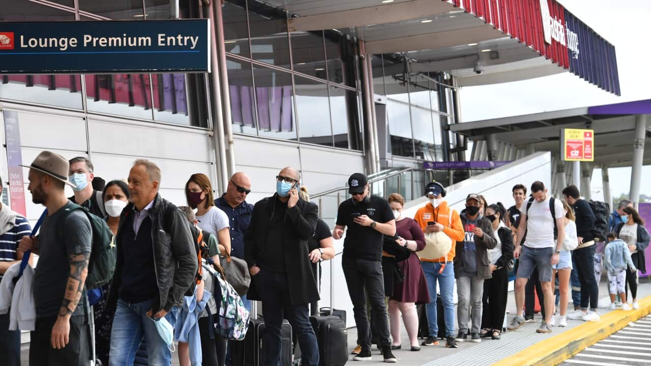 Travellers queue outside a domestic airport terminal in Sydney to check in and drop luggage because the line is so long.