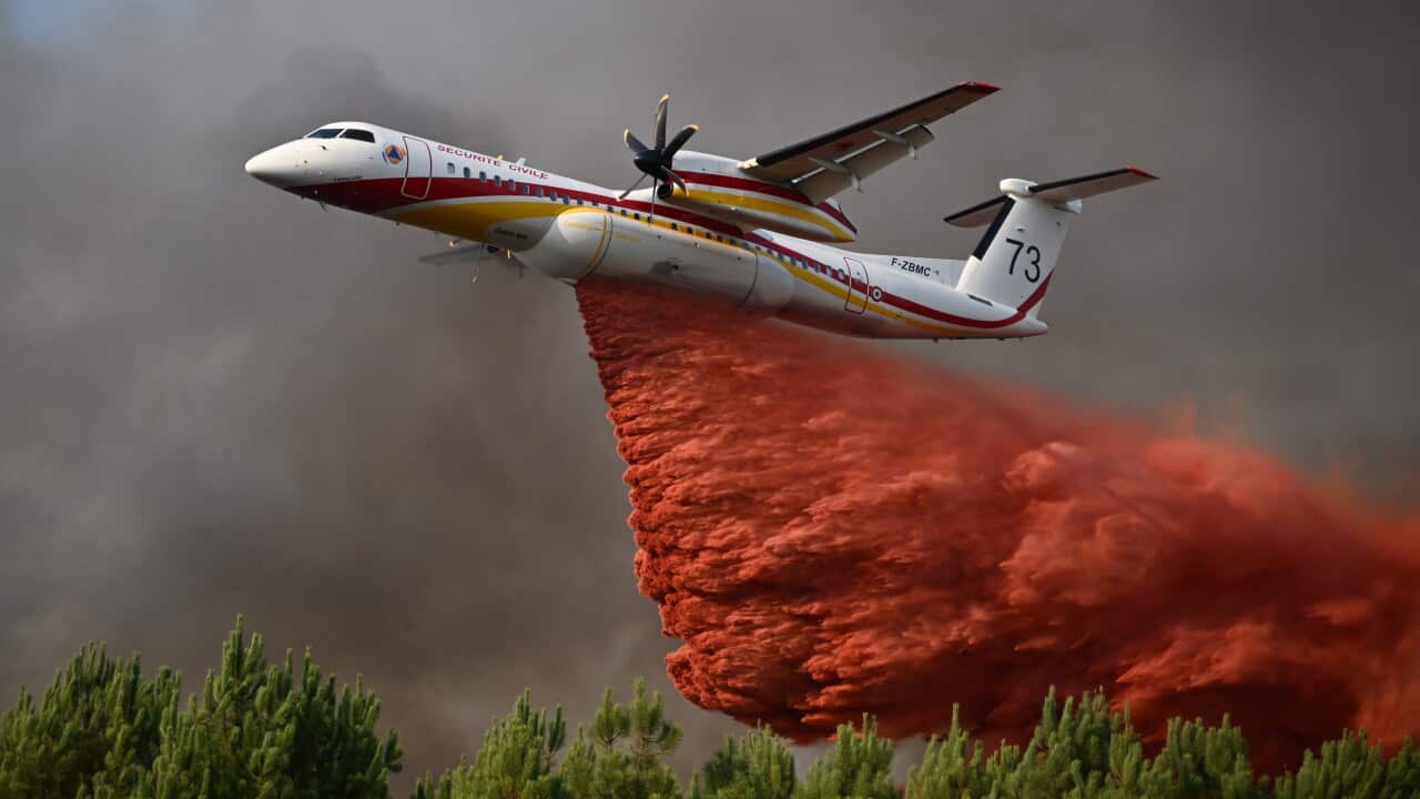 A plane releases red fire retardant as it flies over a forest