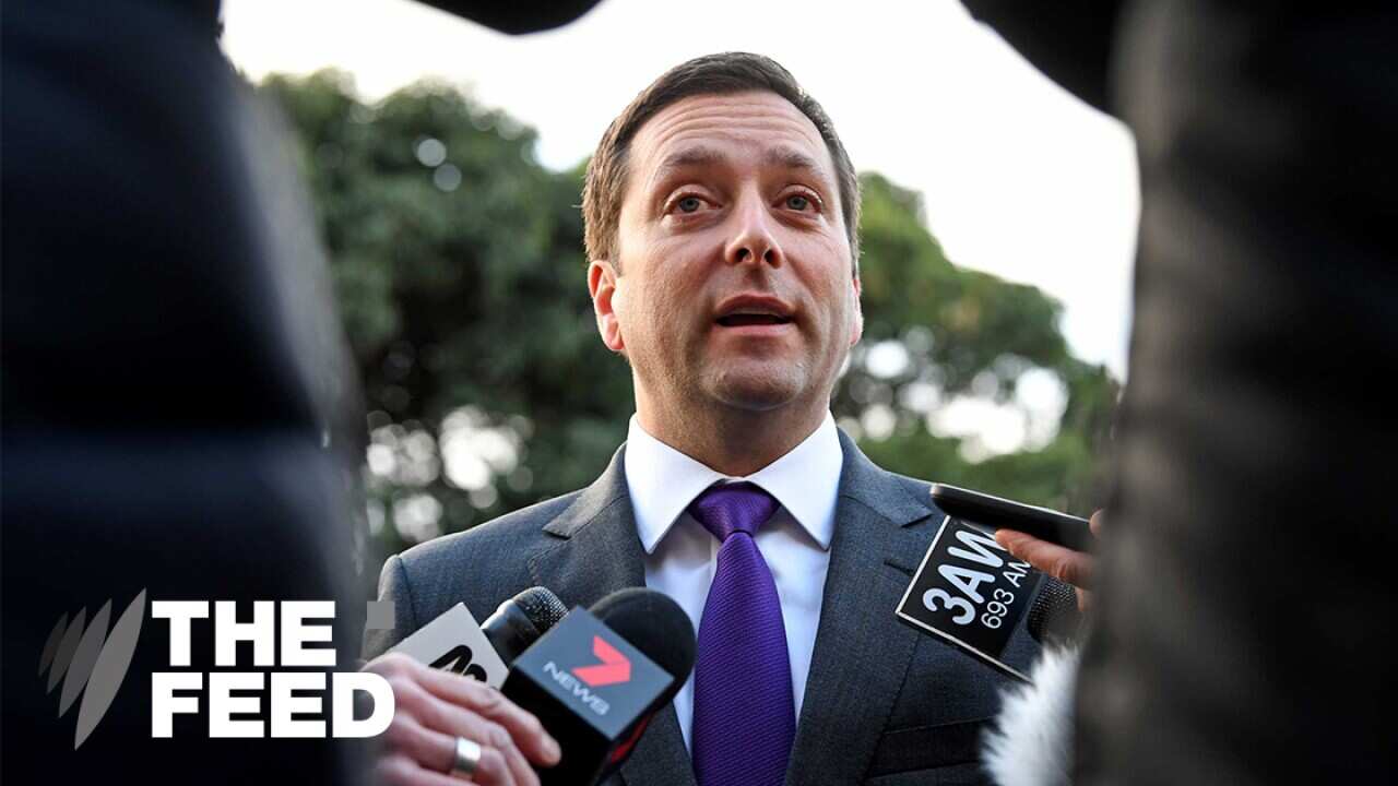 Matthew guy