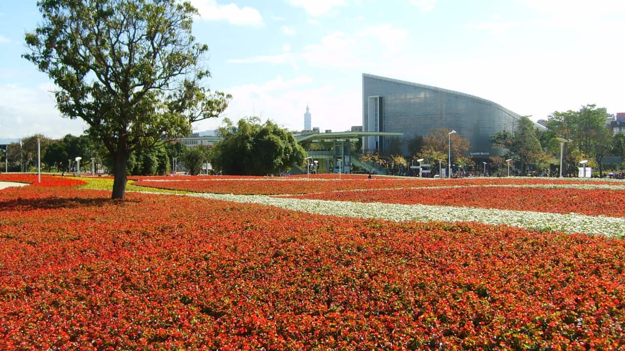 Image for read more article '其他內容'