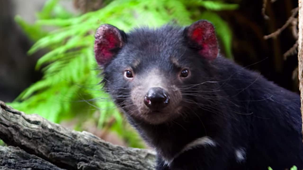 Image for read more article 'Otros temas:'