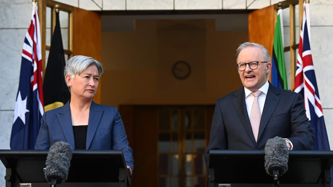 ANTHONY ALBANESE PRESSER