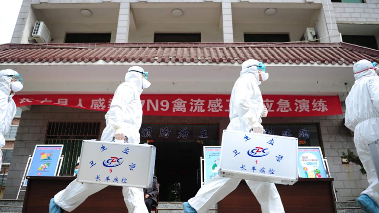 New bird flu kills two more in China