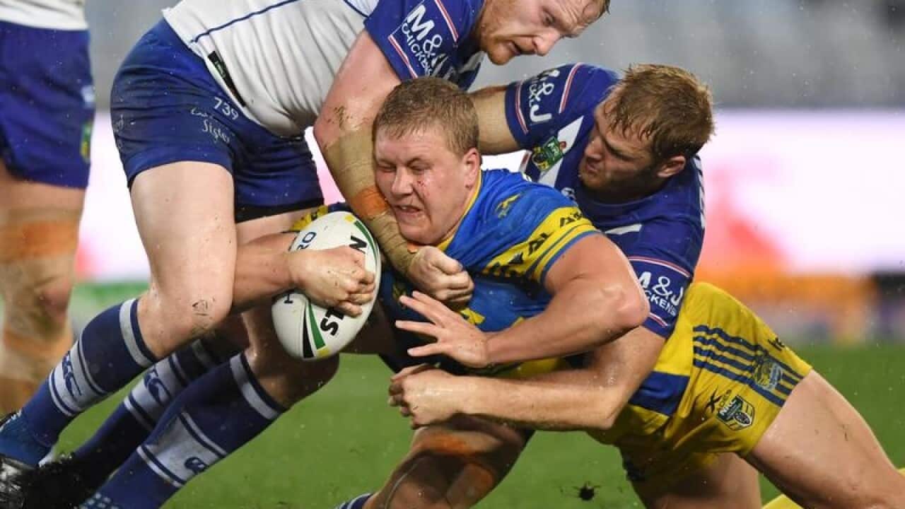 Daniel Alvaro of the Eels