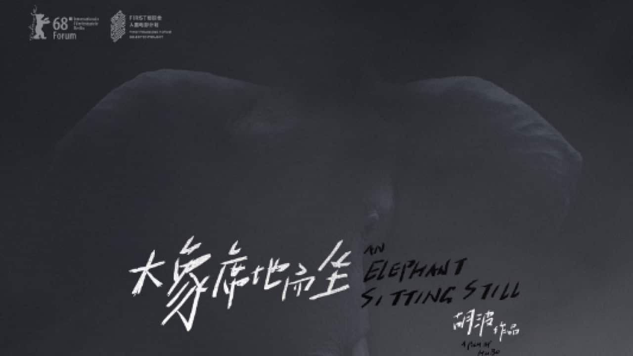 An Elephant Sitting Still