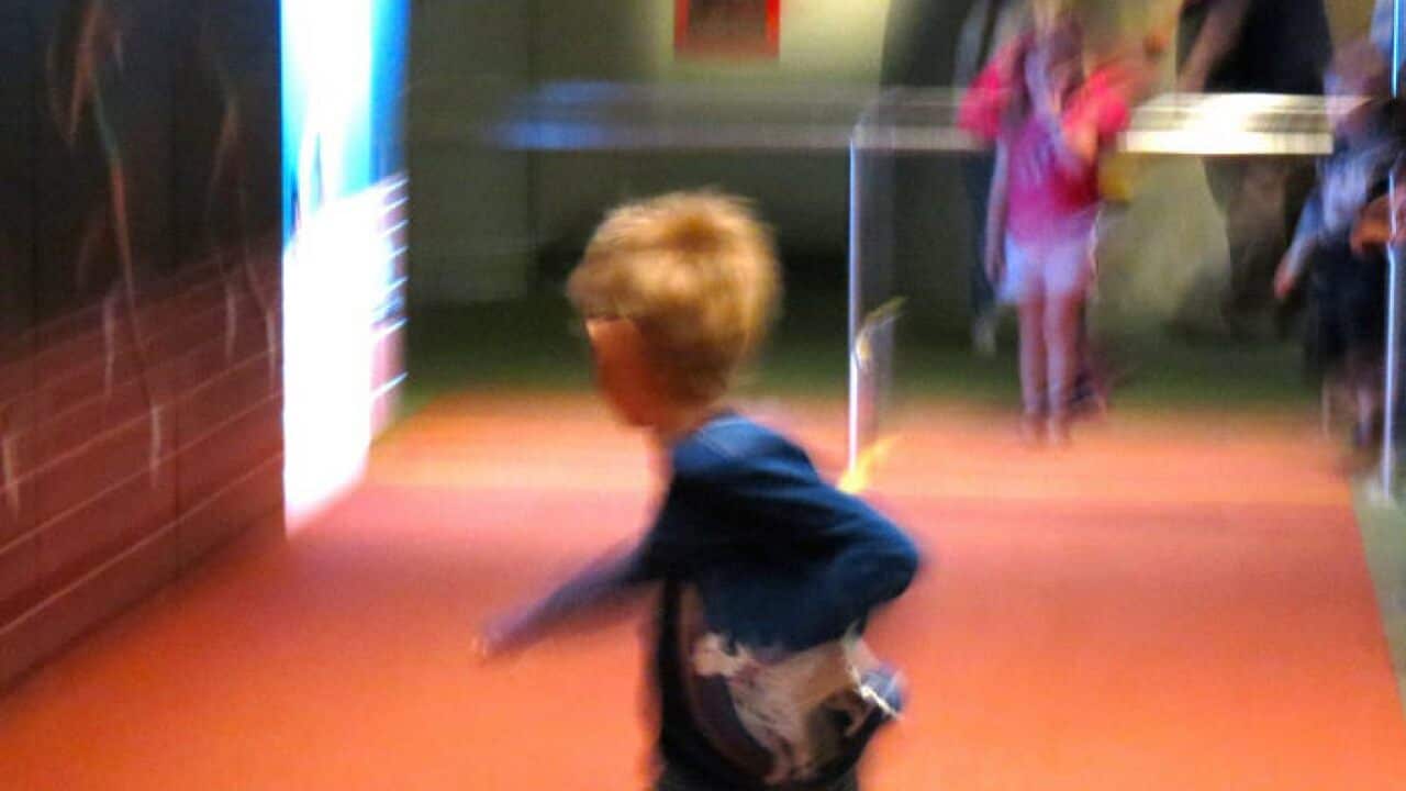 Beating Cathy Freeman at Scienceworks