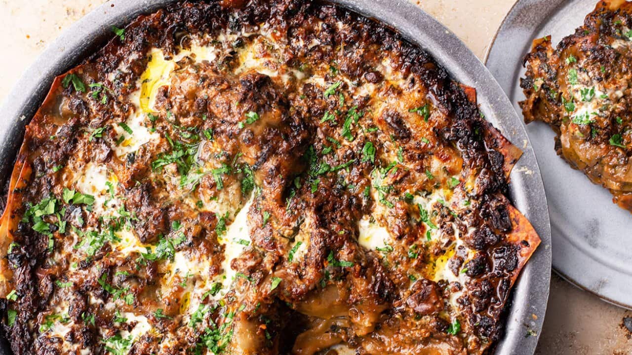 Spicy mushroom lasagne