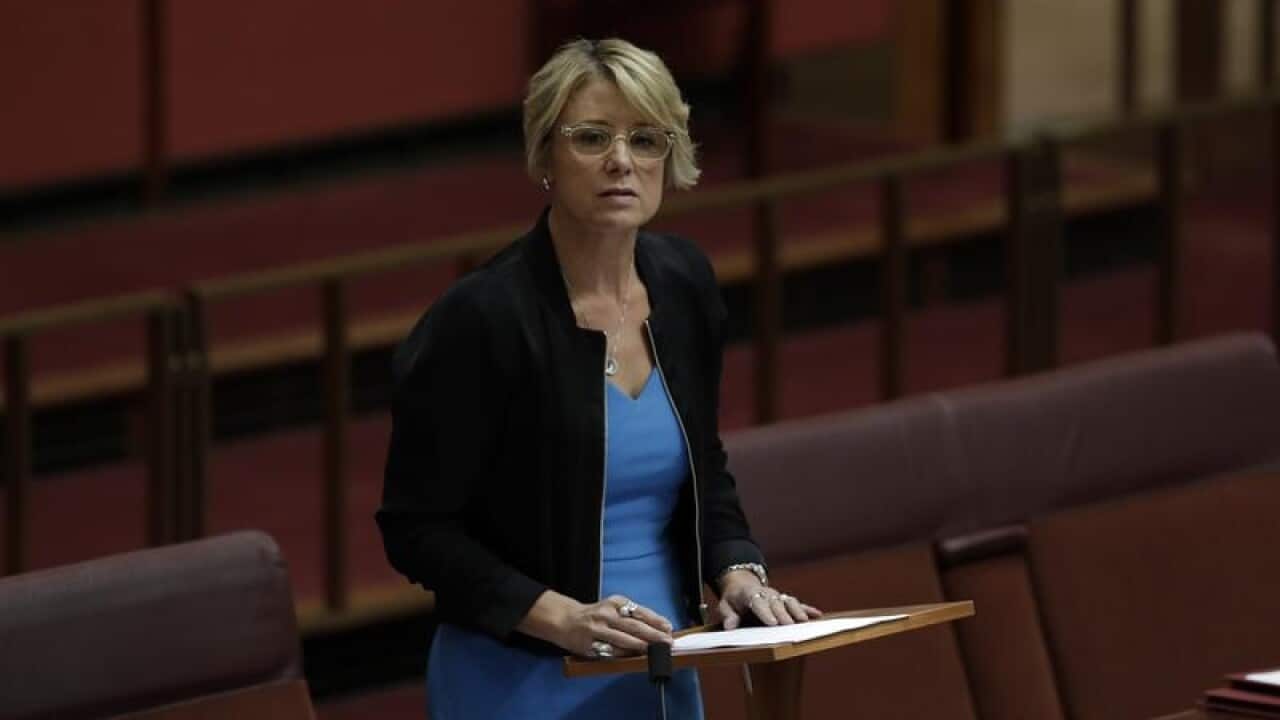 Labor senator Kristina Keneally