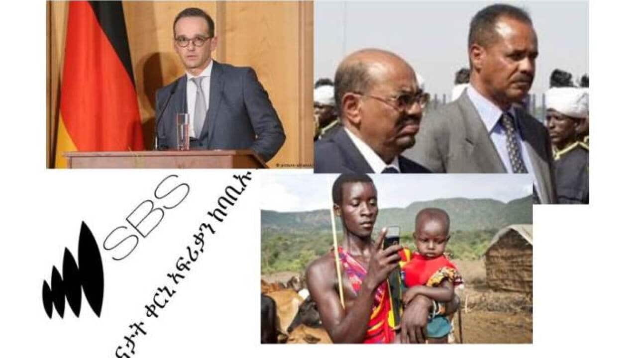Horn Africa News