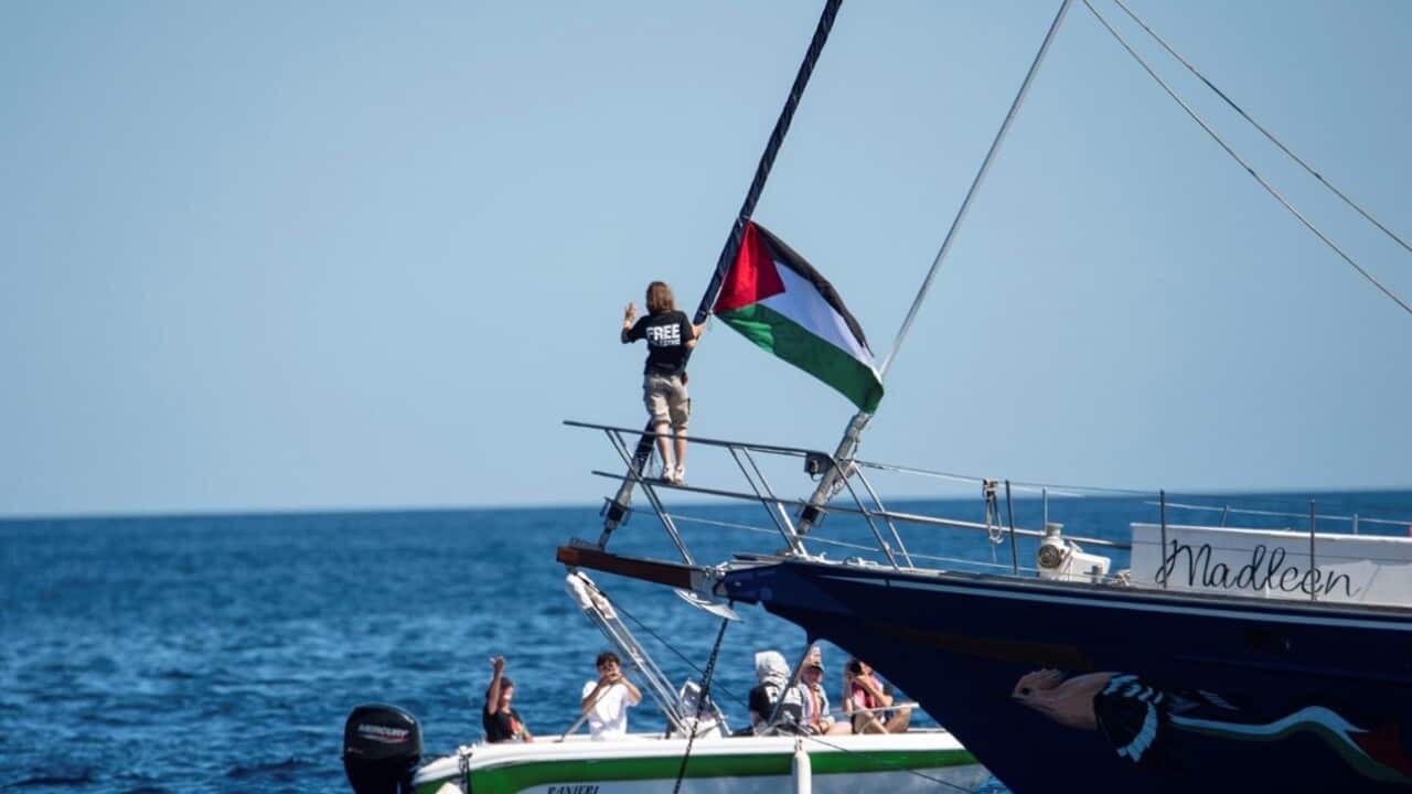 Image for read more article 'READ MORE'