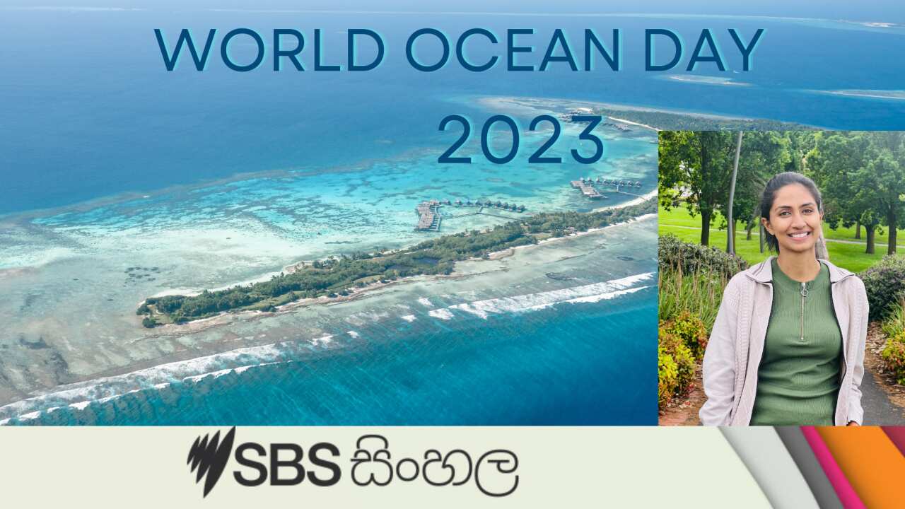World Ocean Day 2023.png
