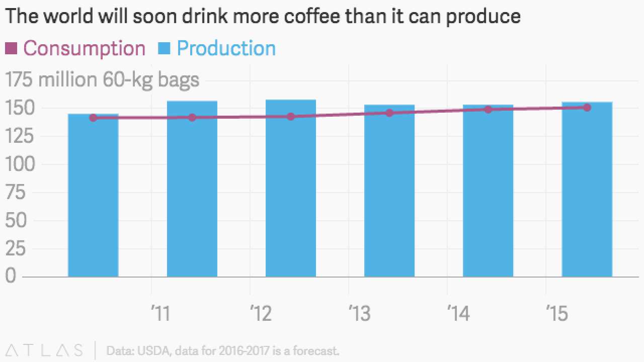 Die Welt wird bald mehr Kaffee trinken als produziert werden kann