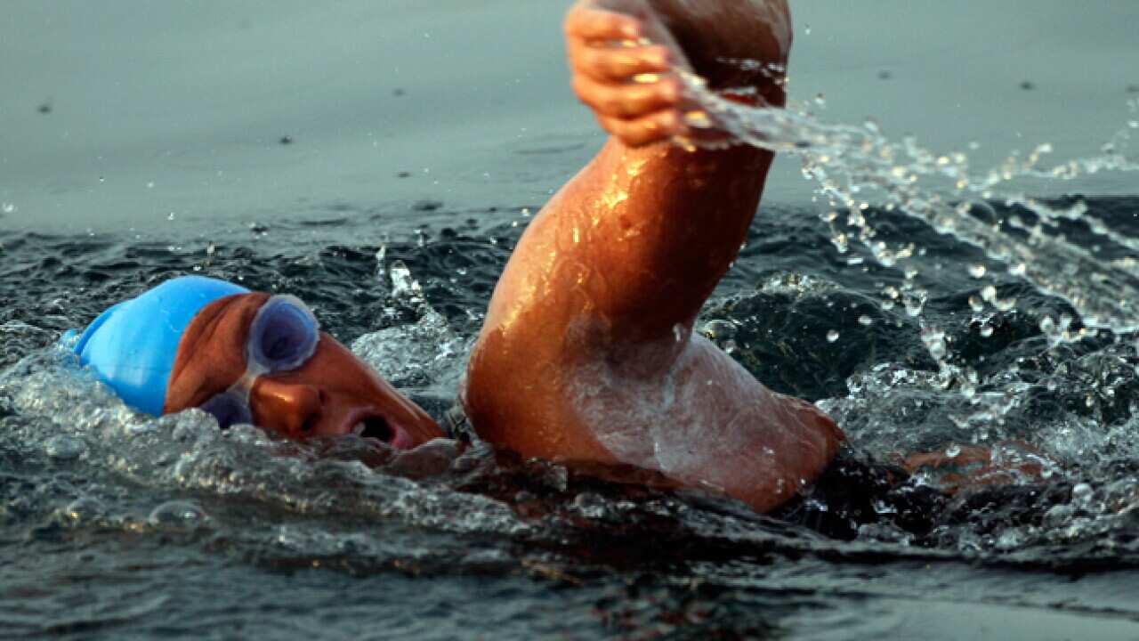 cuba_swimmer_L_110809_aap_360177393