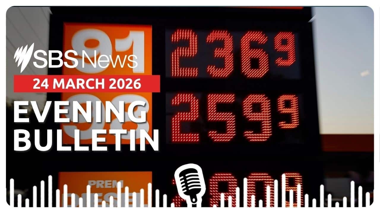 Evening Bulletin image - 24 March 2026.jpg