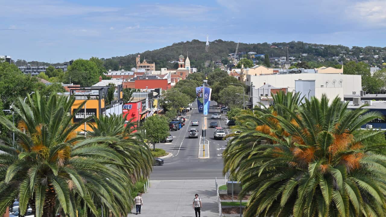 ALBURY STOCK
