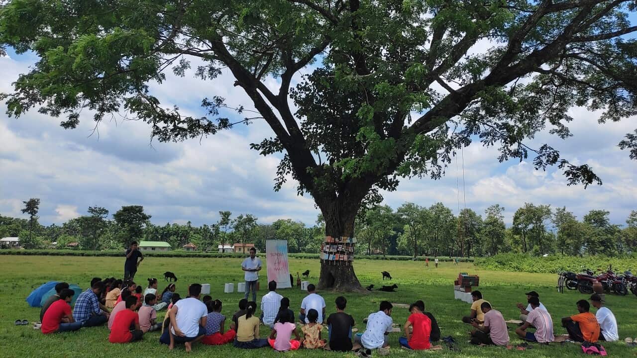 tree.lib.jpg
