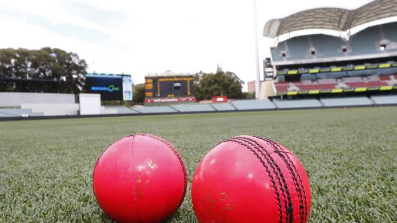 General view of the pink ball during a press conference