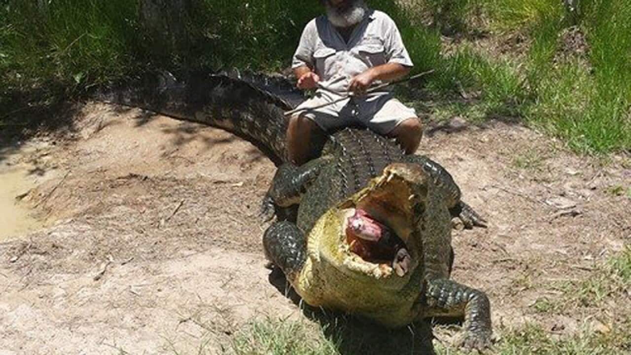 Wildlife park owner Rob Bredl