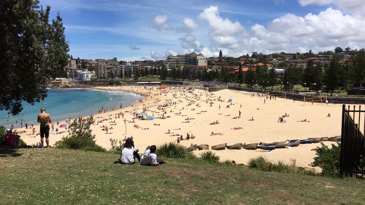 Coogee beach
