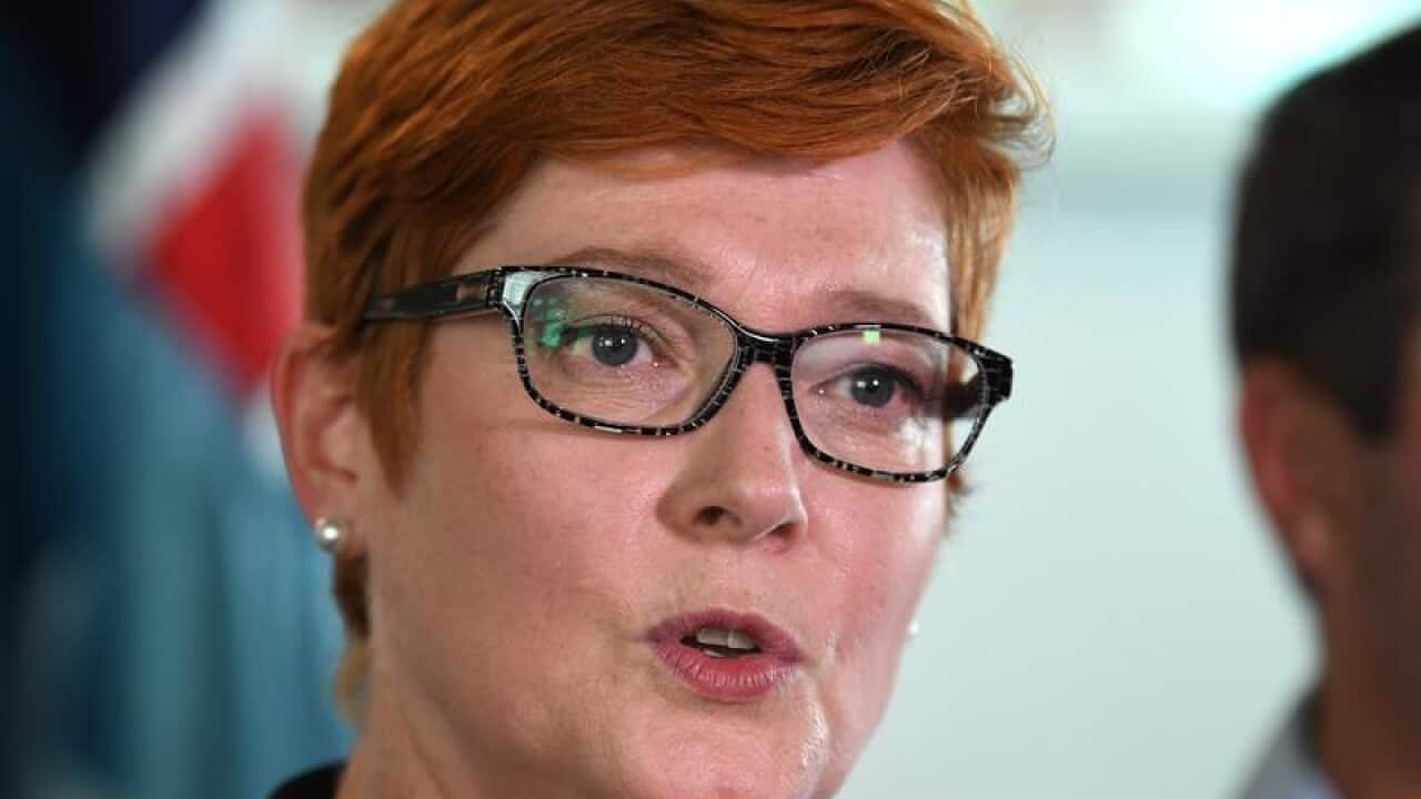 A file image of Defence Minister Marise Payne