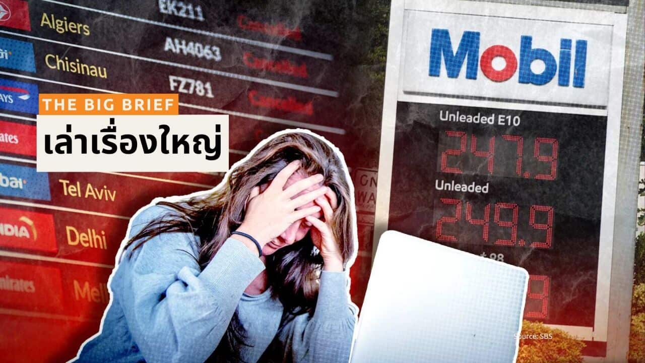 Big Brief ALC THAI THE BIG BRIEF - BSP HEADER (2).jpg