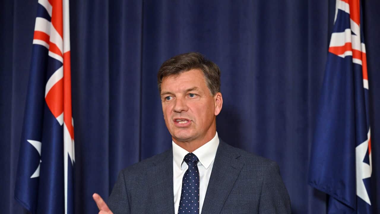 ANGUS TAYLOR PRESSER