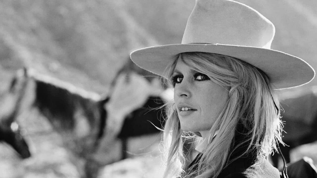 Brigitte Bardot on the Set of "Shalaco"