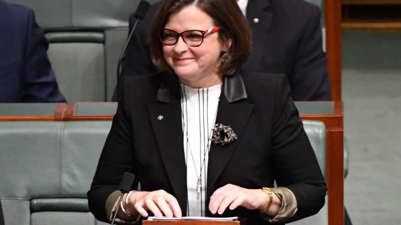 Labor member for Batman Ged Kearney makes her maiden speech.