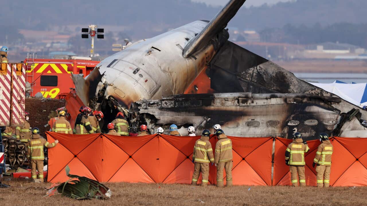 Dozens of casualties reported after passenger aircraft crashes at Muan airport