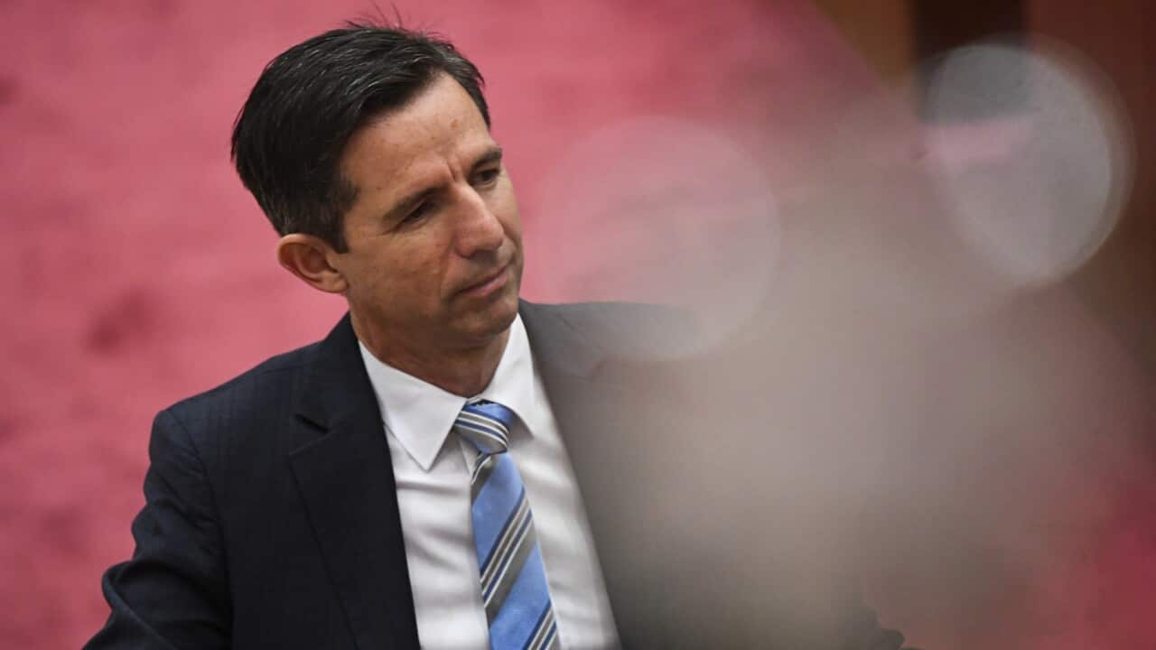 Image for read more article 'READ MORE'