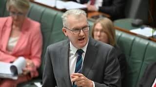 Tony Burke speaks in parliament.