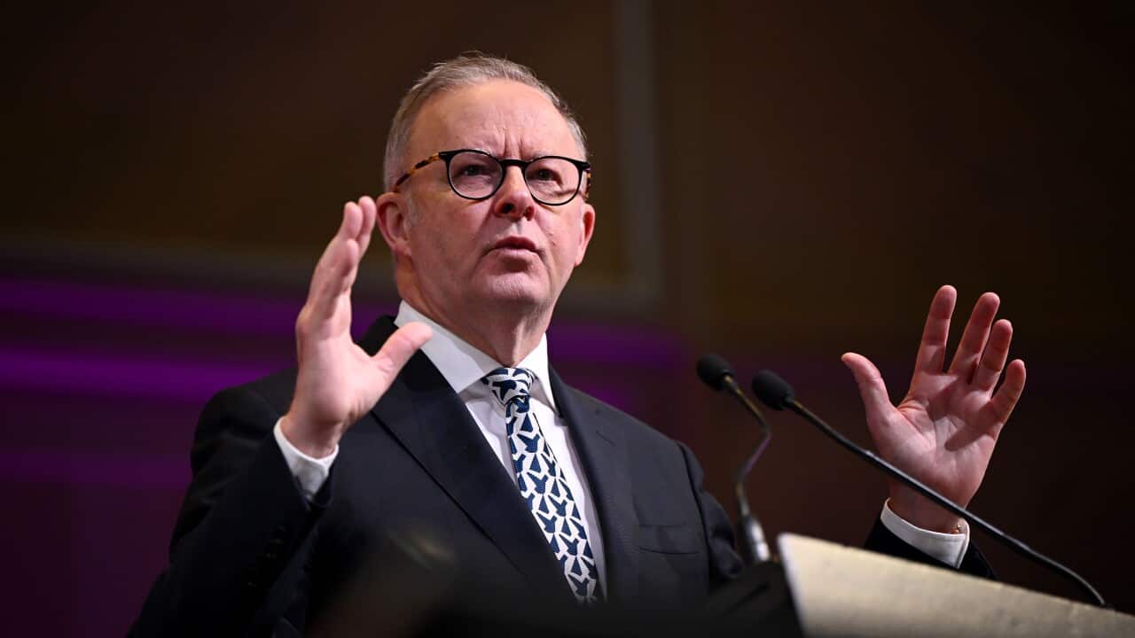 ANTHONY ALBANESE SYDNEY AIRPORT CITY SUMMIT