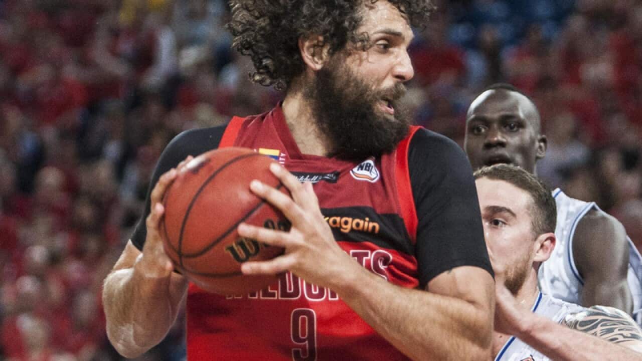 Perth Wildcats forward Matt Knight
