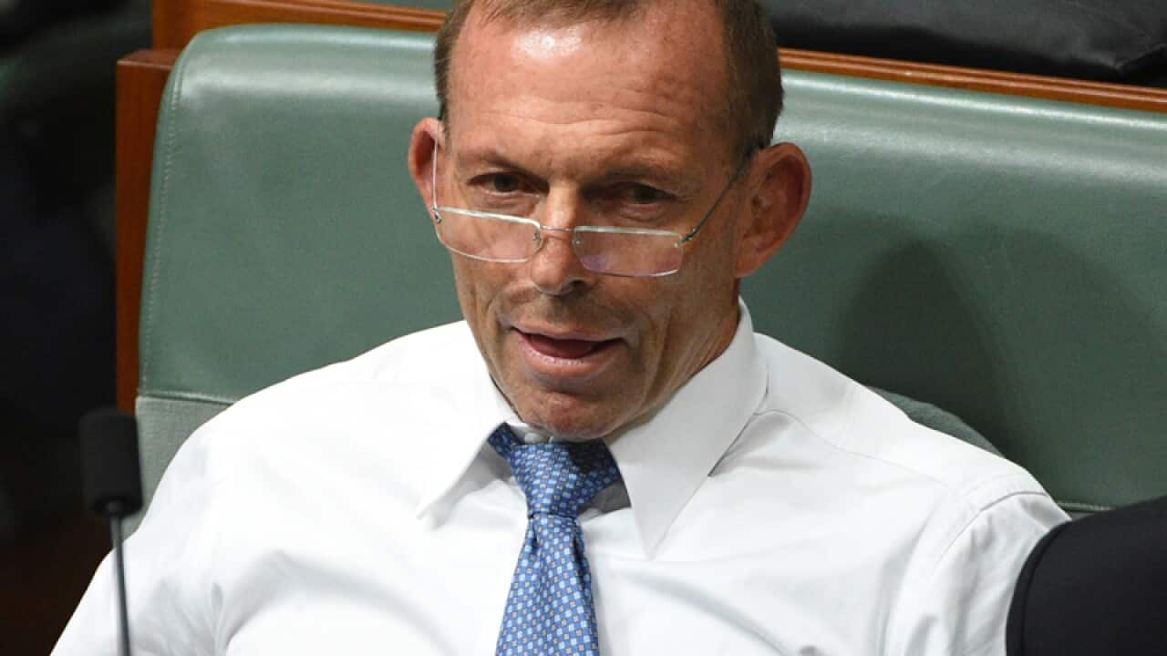 Former prime minister Tony Abbott