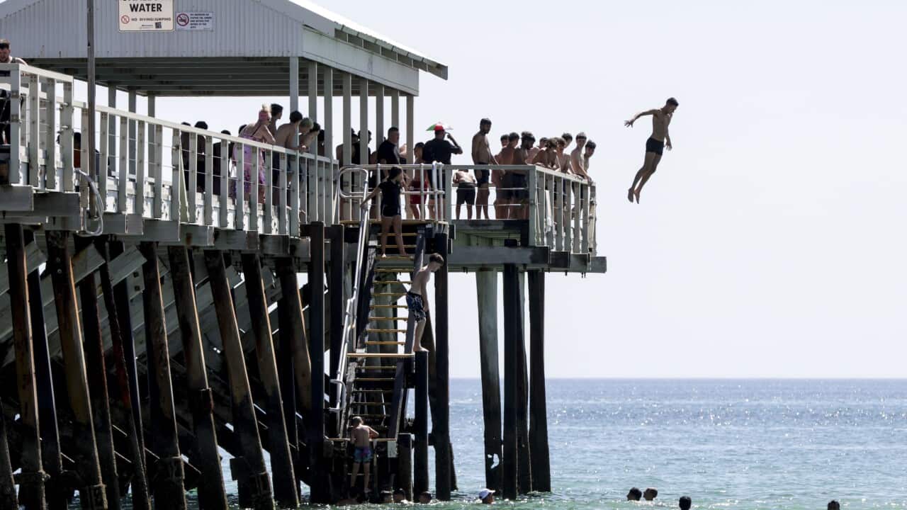 A person jumping off a jetty into water during a heatwave
