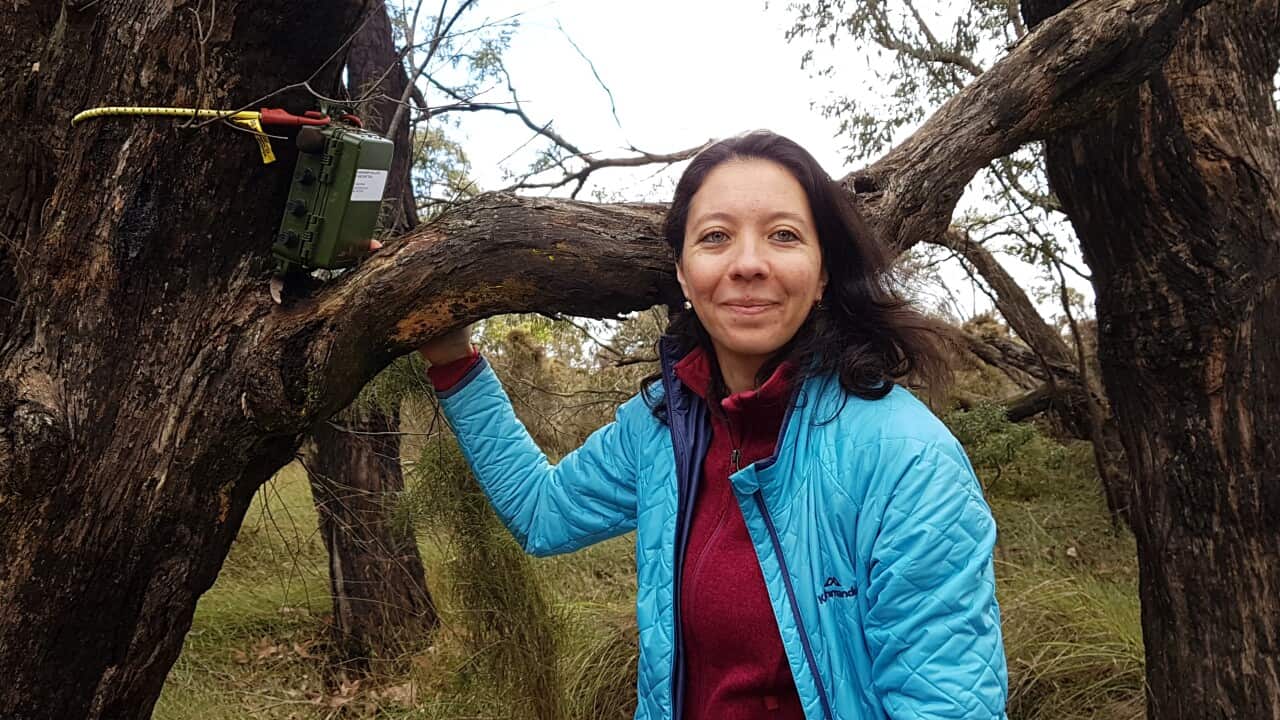 Biologist Paola Rivera