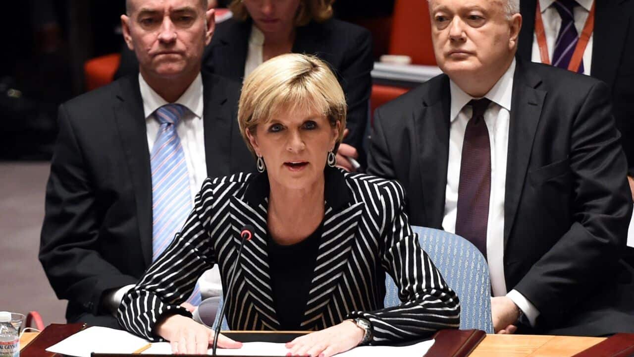 Foreign Minister Julie Bishop addresses the UN Security Council aap.jpg