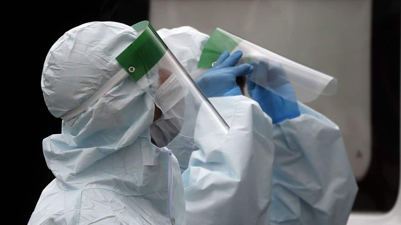 The World Health Organisation said global deaths from COVID-19 would increase in the coming months.