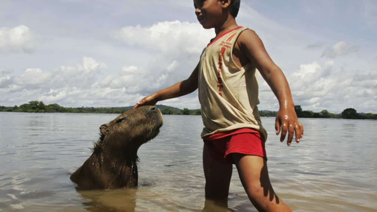brazil_dam_xingu_b_110602_ap_970827577