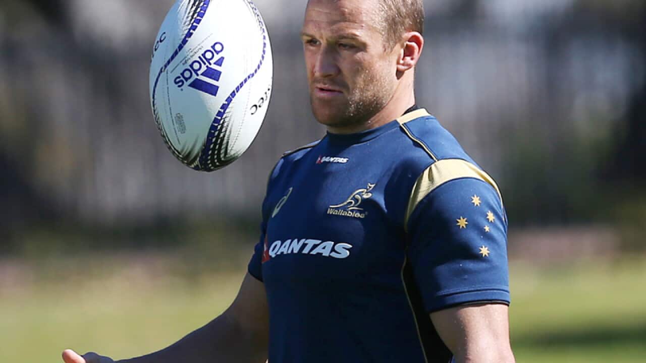 Wallabies playmaker Matt Giteau