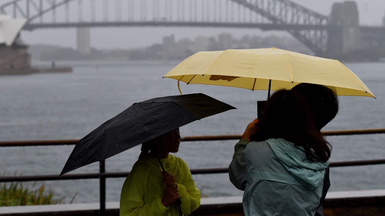 SYDNEY WET WEATHER