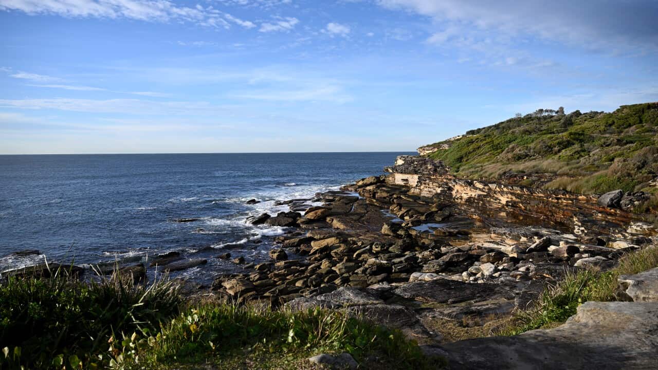 Image for read more article 'READ MORE'