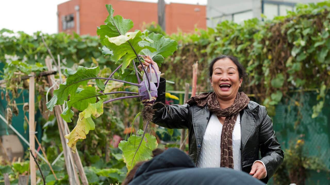 Moving Feast: A pandemic food response to enable vulnerable Victorians to rise up and out of food insecurity