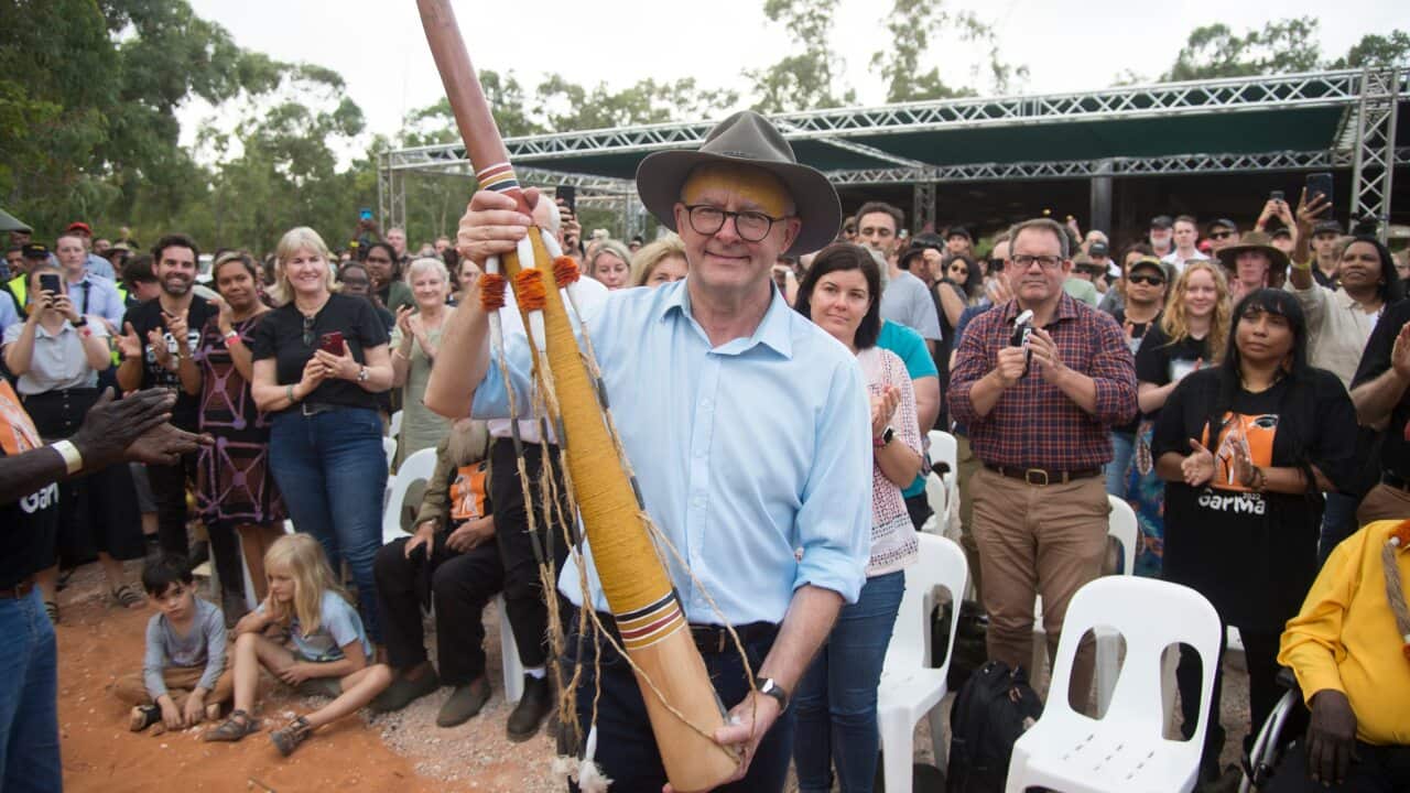 Prime Minister Albanese Garma