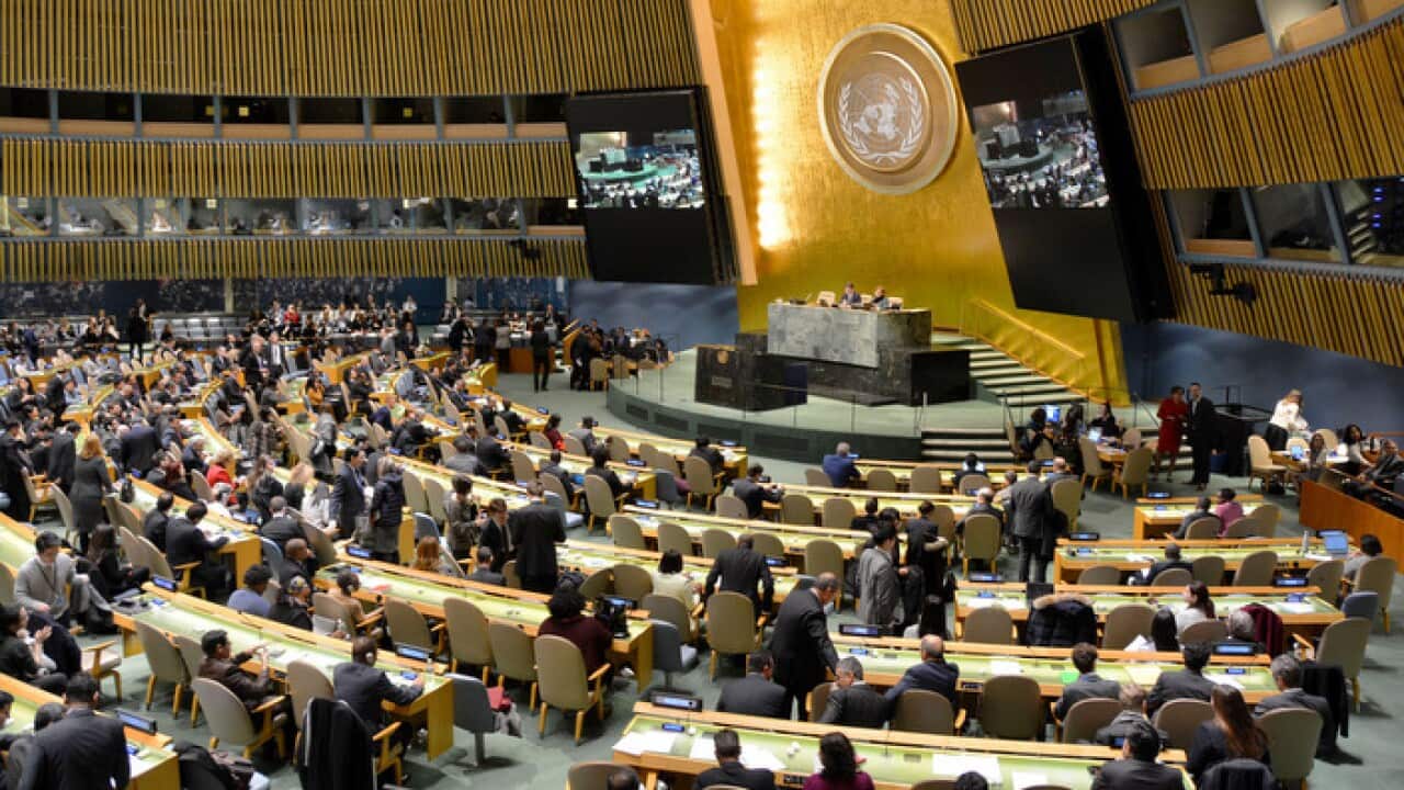 The UN General Assembly