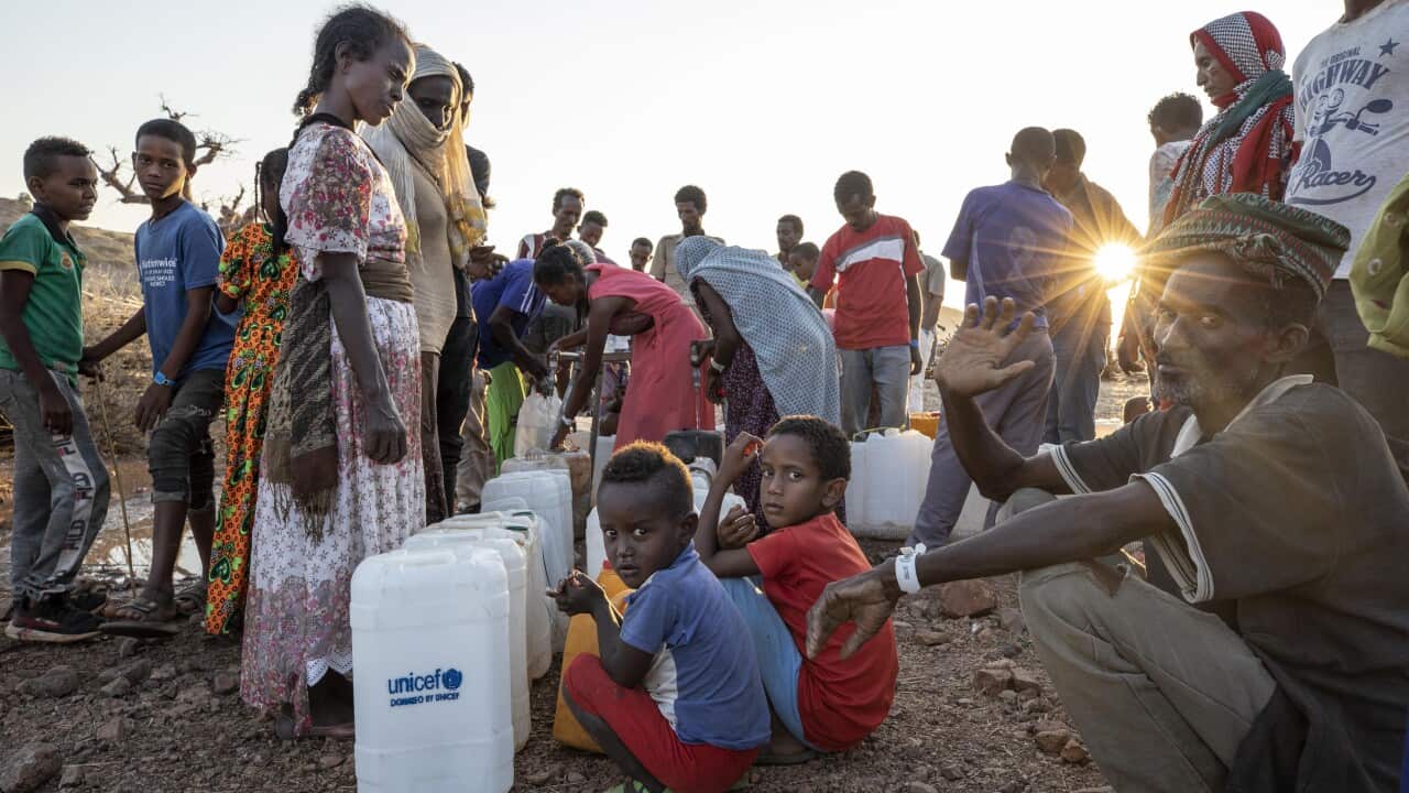 Women and men who fled the conflict in Ethiopia's Tigray region, wait to pour water into gallons, at Umm Rakouba refugee camp in eastern Sudan on 27 November.