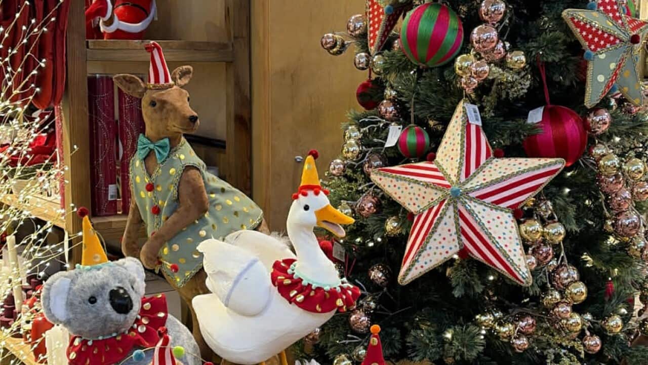 Bozic u Australiji, decembar 2025, South Morang, (Photo SBS Aisa Hadziahmetovic).jpeg