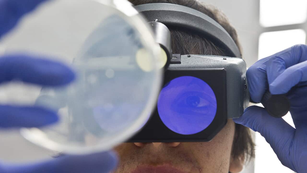 A laboratory worker inspects a petrie dish
